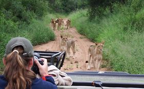 Ndzuti Bush Camp
