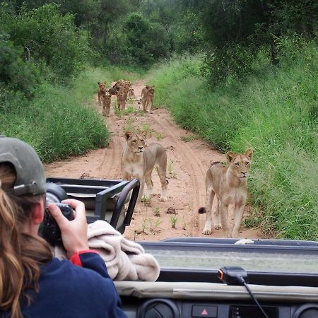 Ndzuti Bush Camp Hotel Balule Wildreservaat Buitenkant foto