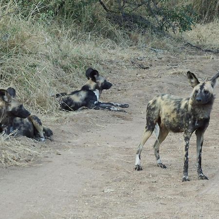 Ndzuti Bush Camp Hotel Balule Wildreservaat Buitenkant foto