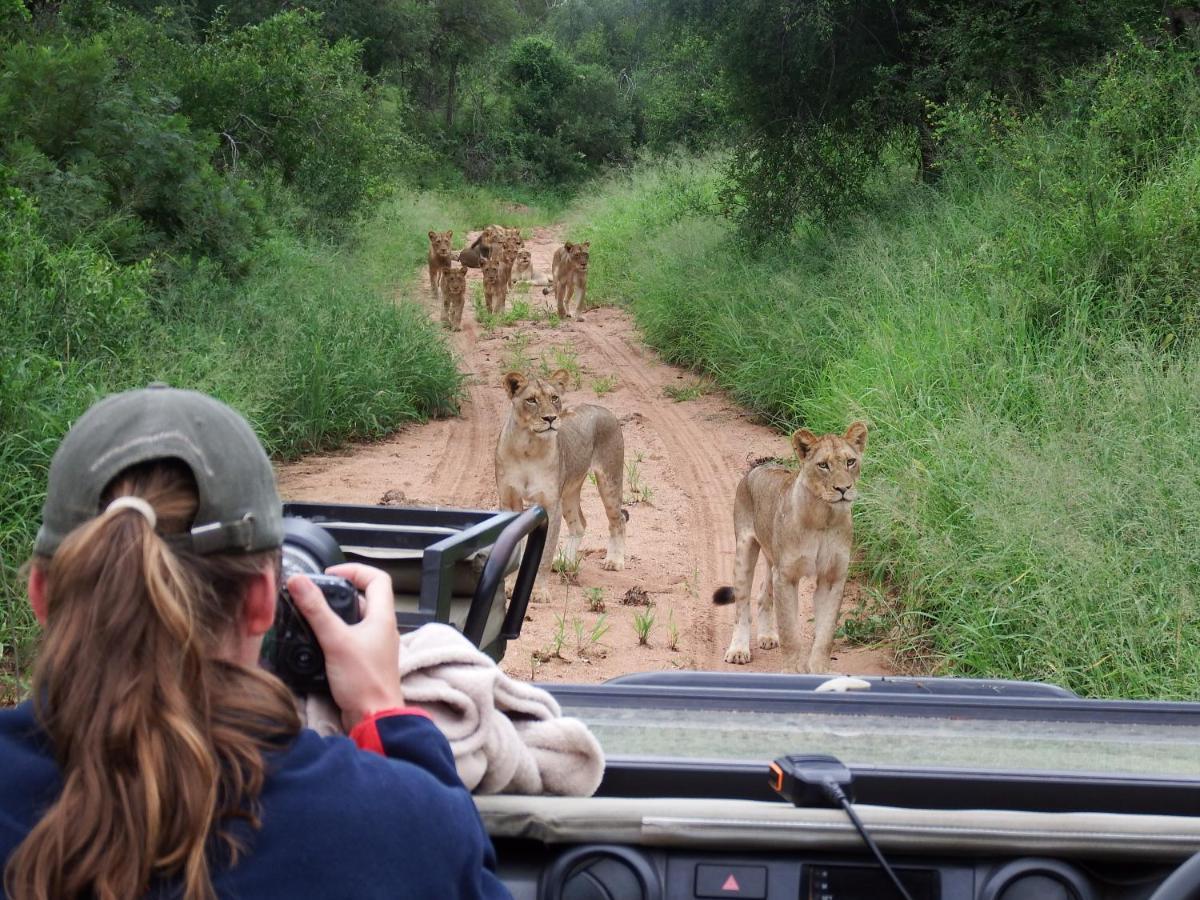 Ndzuti Bush Camp Hotel Balule Wildreservaat Buitenkant foto