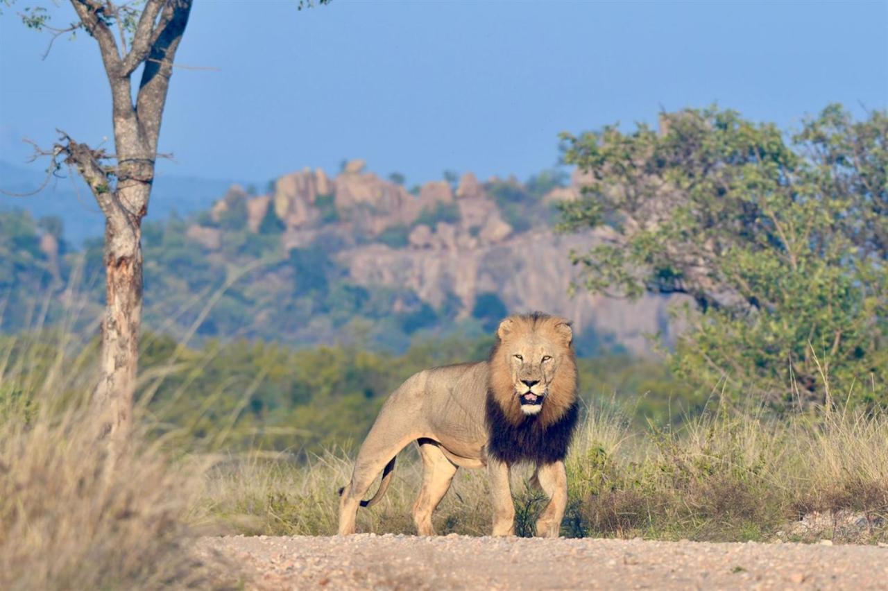 Ndzuti Bush Camp Hotel Balule Wildreservaat Buitenkant foto