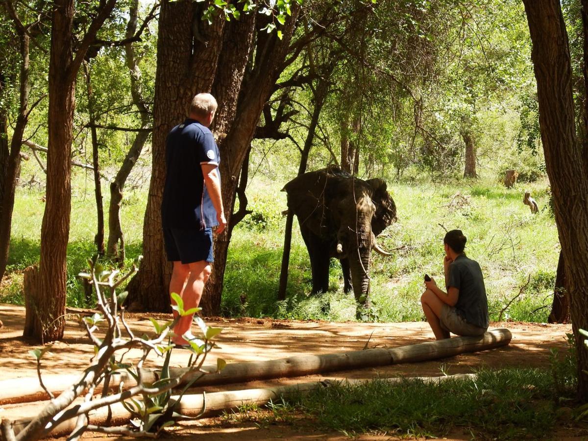 Ndzuti Bush Camp Hotel Balule Wildreservaat Buitenkant foto
