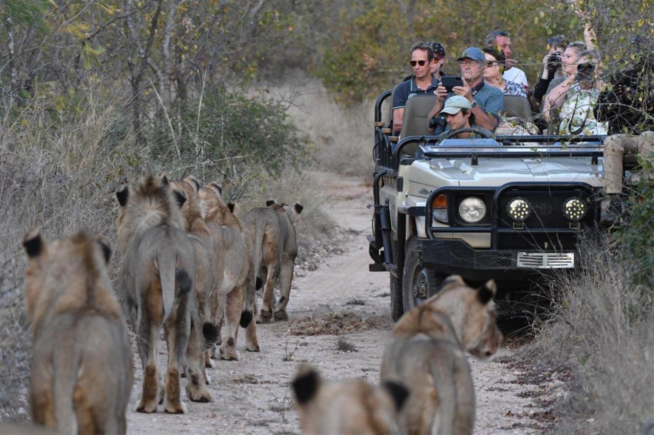 Ndzuti Bush Camp Hotel Balule Wildreservaat Buitenkant foto