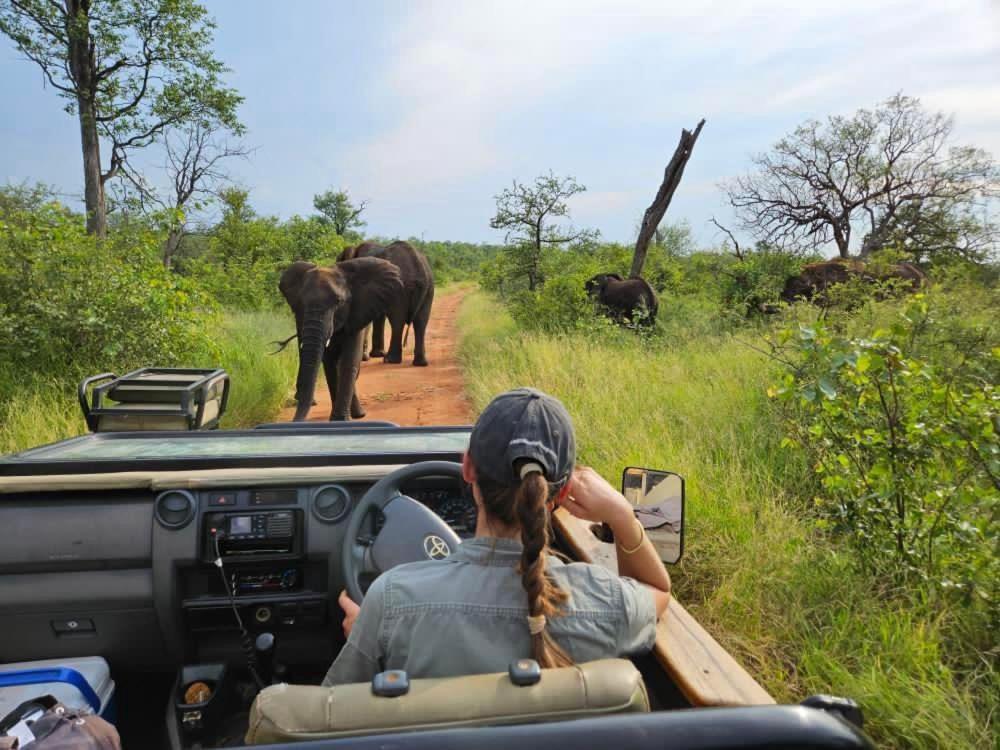 Ndzuti Bush Camp Hotel Balule Wildreservaat Buitenkant foto